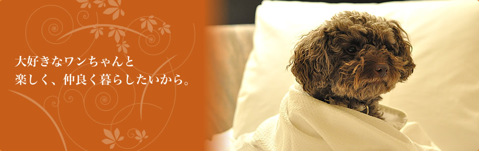 大好きなワンちゃんと楽しく、仲良く暮らしたいから。